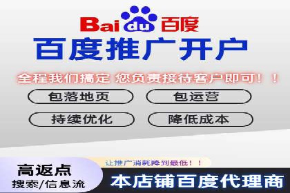实战案例：如何利用百度推广拓展市场份额